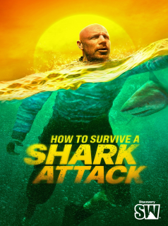 Survivre aux requins : mode d'emploi